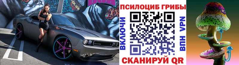Галлюциногенные грибы Psilocybe Усть-Илимск