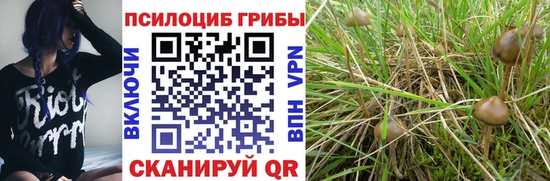 сколько стоит  Усть-Илимск  МЕГА онион  Псилоцибиновые грибы MAGIC MUSHROOMS 